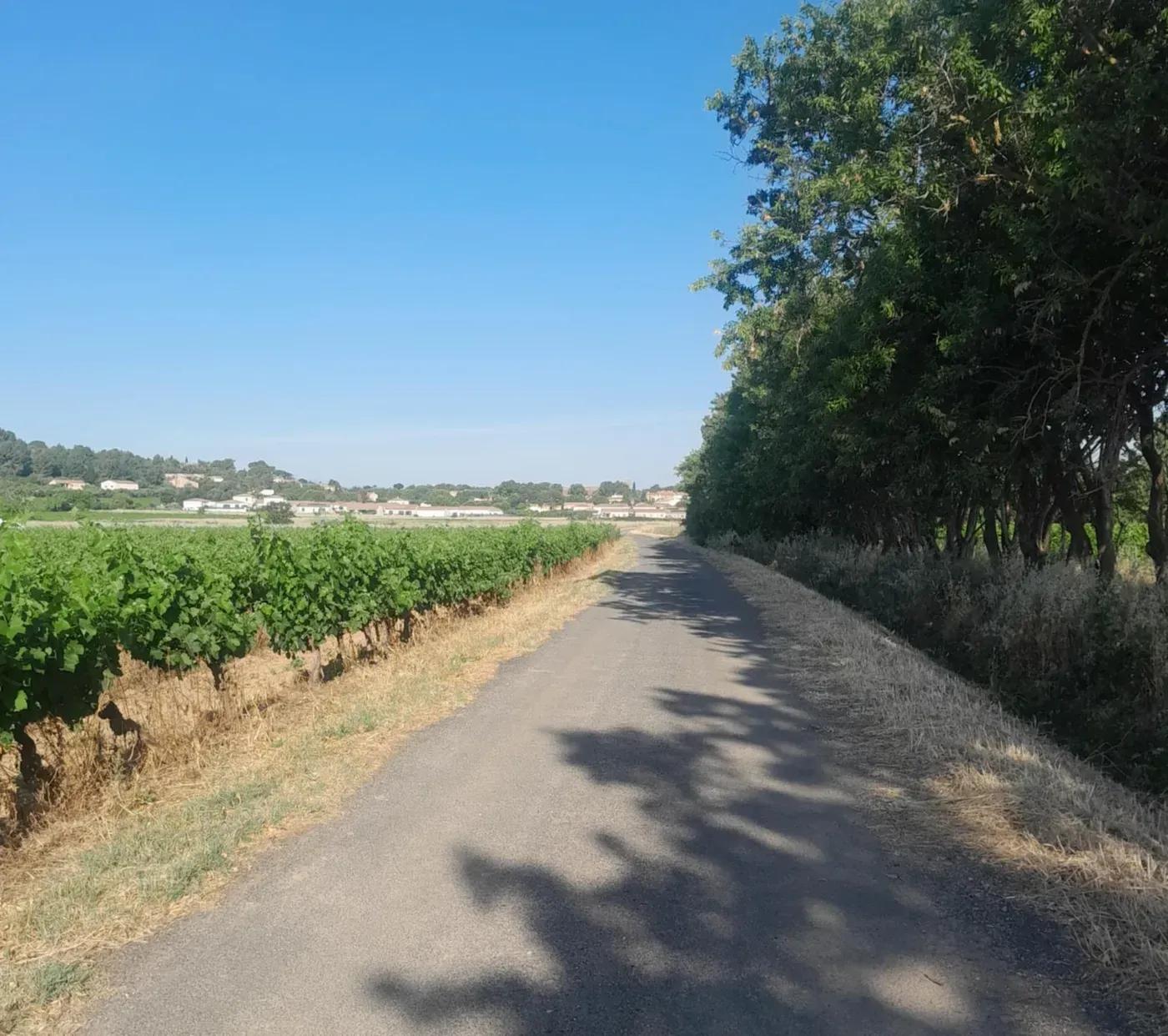 Marche thérapeutique le long du canal